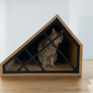 Kattenhuis van hout en staal